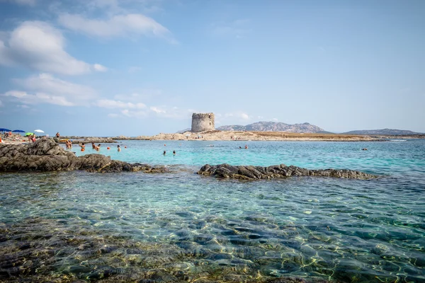 Stintino Sardinia sea landscape — Stock Photo, Image