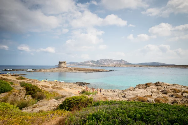 Stintino Sardinia sea landscape — Stock Photo, Image