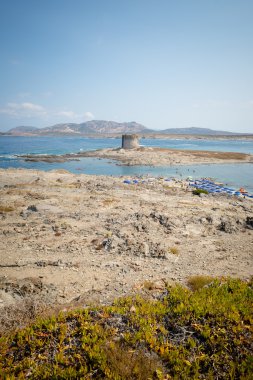 Stintino Sardunya deniz manzara