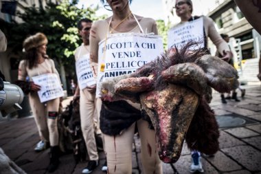 Milano Moda Haftası Eylül tarihinde animalisti italiani protesto