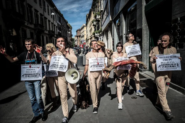 Animalisti อิตาลีประท้วงกับมิลานสัปดาห์แฟชั่นในเดือนกันยายน — ภาพถ่ายสต็อก