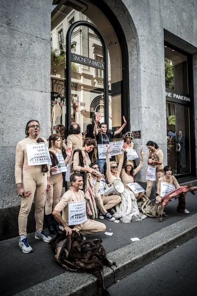 Animalisti italiani protest przeciwko Mediolanie tygodnia mody septem — Zdjęcie stockowe