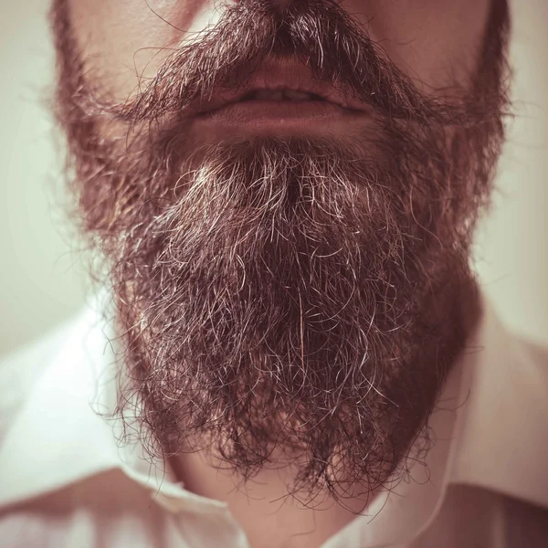 Primer plano de barba larga y bigote — Foto de Stock