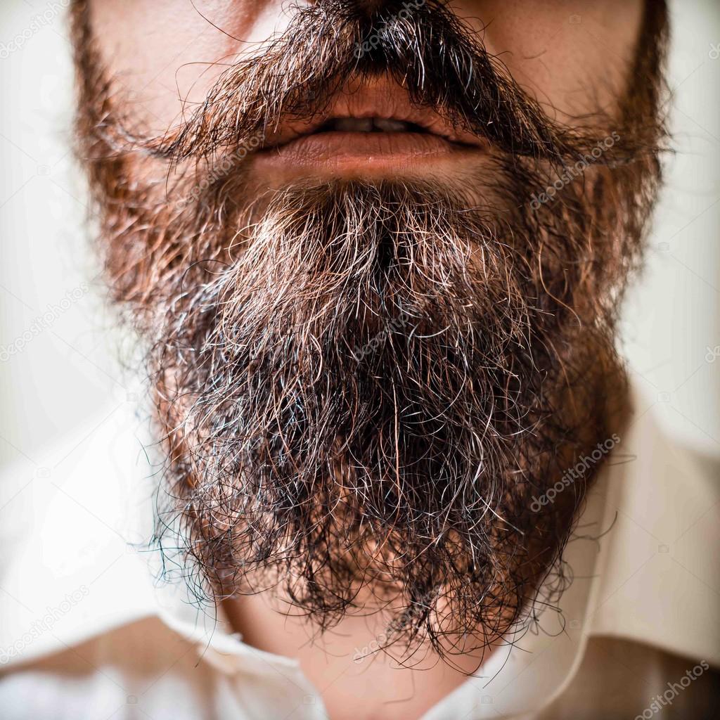 Close up of long beard and mustache