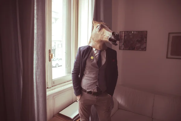 Paard masker man voor venster — Stockfoto