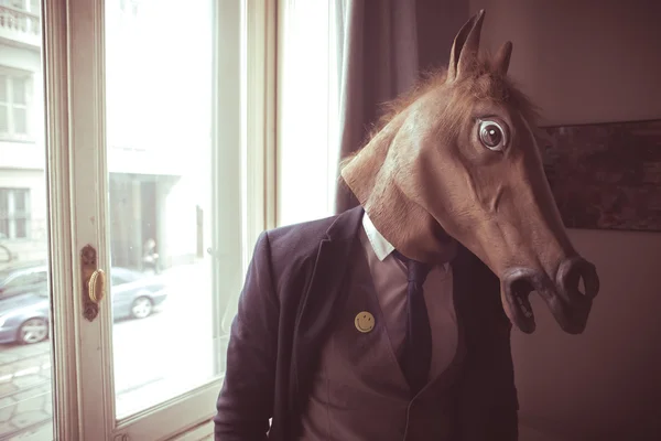 Masque de cheval homme devant la fenêtre — Photo