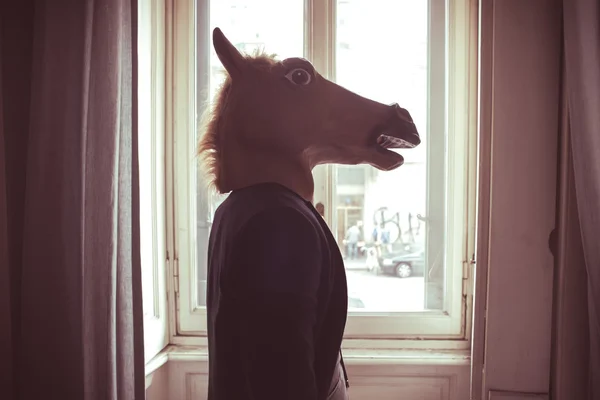 Homem máscara de cavalo na frente da janela — Fotografia de Stock