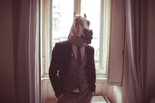 Kůň maska muž u okna — Stock fotografie