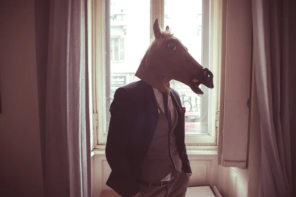 Paard masker man voor venster — Stockfoto