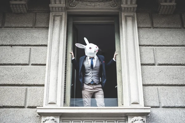ウィンドウに登場のウサギのマスクの人 — ストック写真