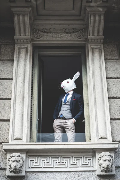 Человек в маске кролика появился у окна — стоковое фото