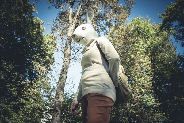 Νέοι hipster κουνέλι μάσκα γυναίκα σε φθινόπωρο — Φωτογραφία Αρχείου