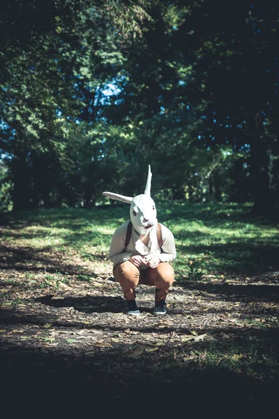 Unga hipster kanin mask kvinna i höst — Stockfoto