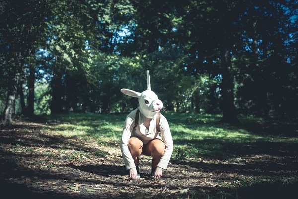 Jovem hipster coelho mulher máscara no outono — Fotografia de Stock