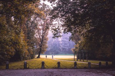 Sonbahar parkı manzarası