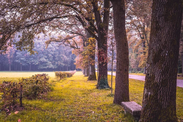 秋の公園風景 — ストック写真