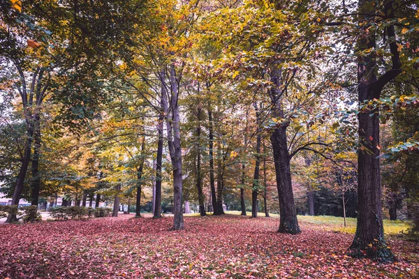 秋の公園風景 — ストック写真