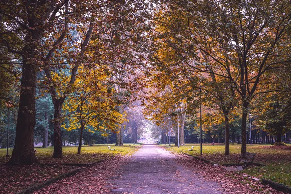 Höst park landskap — Stockfoto