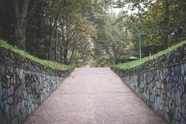 Sonbahar parkı manzarası — Stok fotoğraf