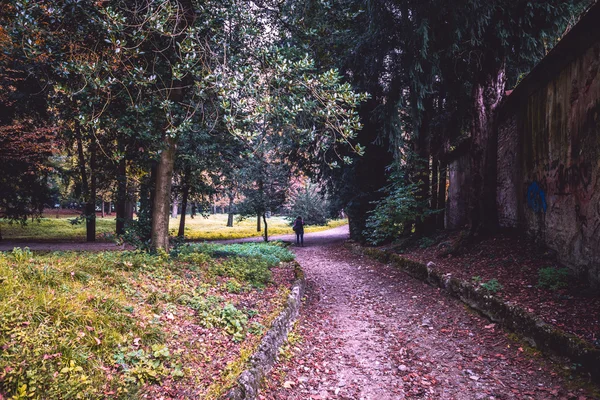 秋の公園風景 — ストック写真