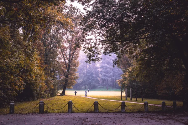 Höst park landskap — Stockfoto