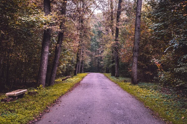 Herbstliche Parklandschaft — Stockfoto