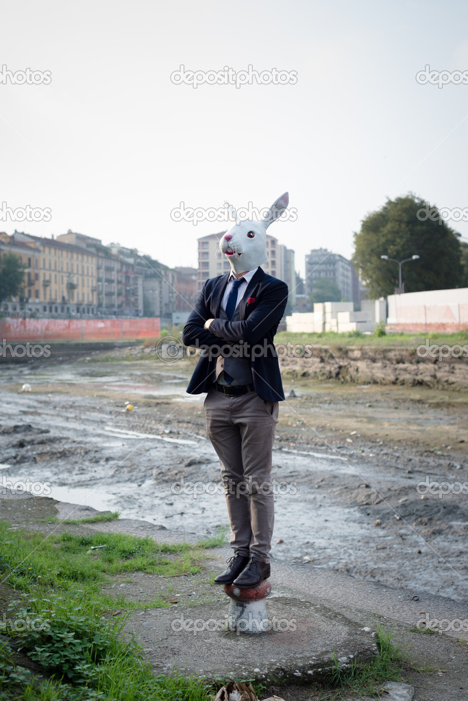 rabbit mask man in a desolate landscape