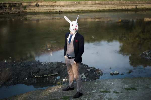 Rabbit mask man in a desolate landscape — Stock Photo, Image