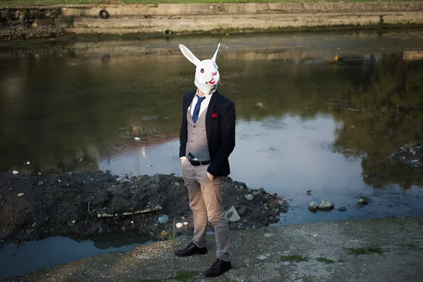 Konijn maskeren man in een desolate landschap — Stockfoto