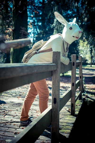 年轻的时髦兔子面具的女子，在秋天 — 图库照片