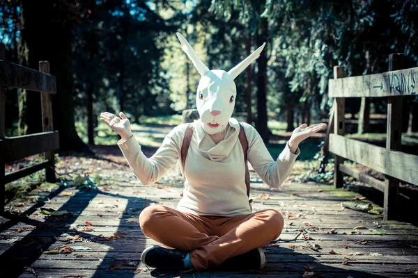 Young hipster rabbit mask woman in autumn — Stock Photo, Image