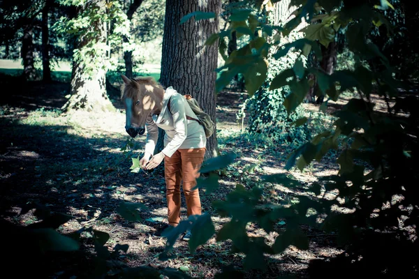 Jonge hipster paard masker vrouw in de herfst — Stockfoto