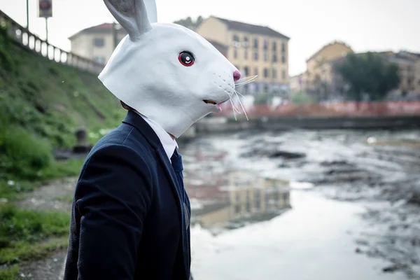 ウサギ マスク荒涼とした風景の中の男 — ストック写真
