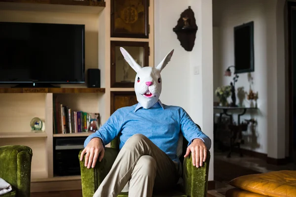Şık iş multitasking tavşan maskesi adam evde — Stok fotoğraf