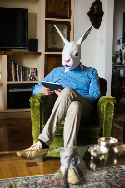 Αριστοκρατική επιχειρηματική multitasking κουνέλι μάσκα άνθρωπος στο σπίτι — Φωτογραφία Αρχείου