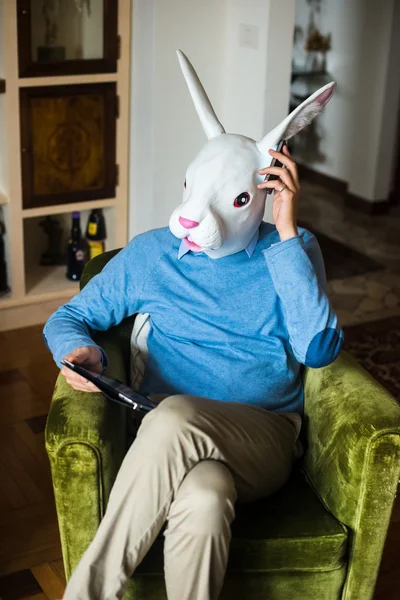 Elegante multitasking konijn masker zakenman thuis — Stockfoto