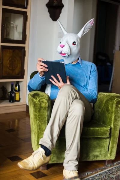 Elegant business multitasking rabbit mask man at home — Stock Photo, Image