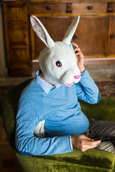 Elegante Business Multitasking Kaninchenmaske Mann zu Hause — Stockfoto