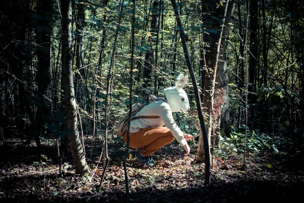 Jovem hipster coelho mulher máscara no outono — Fotografia de Stock