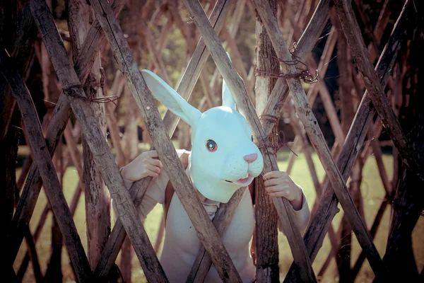 Young hipster rabbit mask woman in the cage — Stock Photo, Image