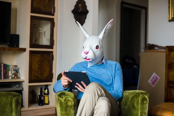 Elegáns üzleti multitasking nyúl maszk ember otthon — Stock Fotó
