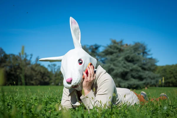 Unga hipster kanin mask kvinna på telefon — Stockfoto