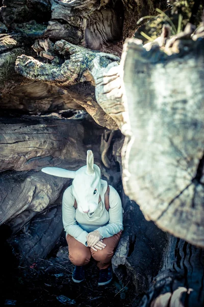 Junge Hipster-Hasenmaske Frau im Herbst — Stockfoto