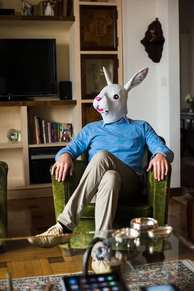 Elegante multitasking konijn masker zakenman thuis — Stockfoto