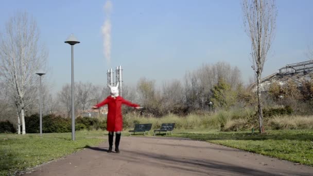 Rabbit head woman — Stock Video