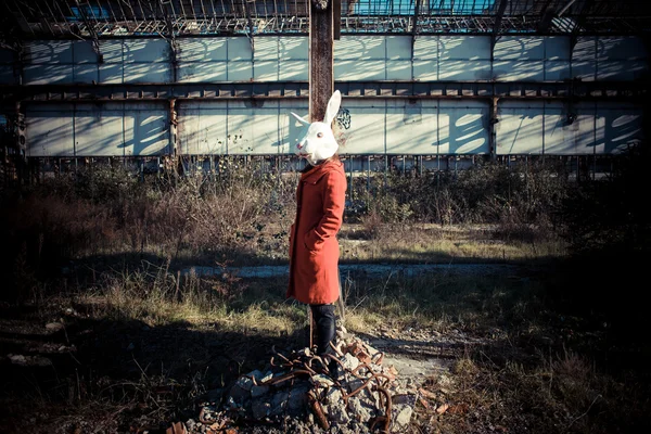Maschera coniglio donna cappotto rosso — Foto Stock