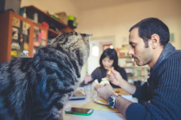 Pareja enamorada comiendo en el almuerzo — Foto de Stock