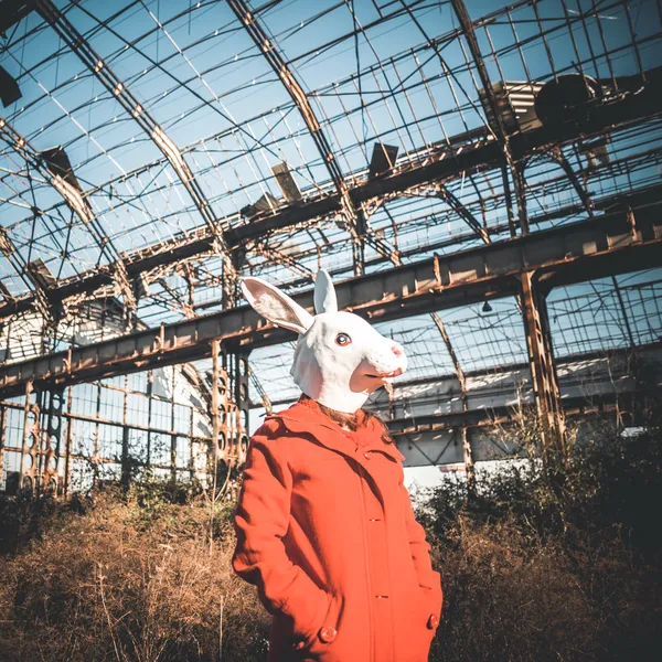 Coelho máscara mulher casaco vermelho — Fotografia de Stock