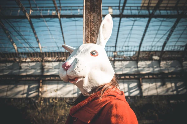 ウサギのマスク女赤いコート — ストック写真