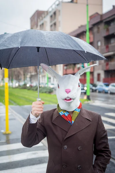 Man in rabbit mask — Stock Photo, Image